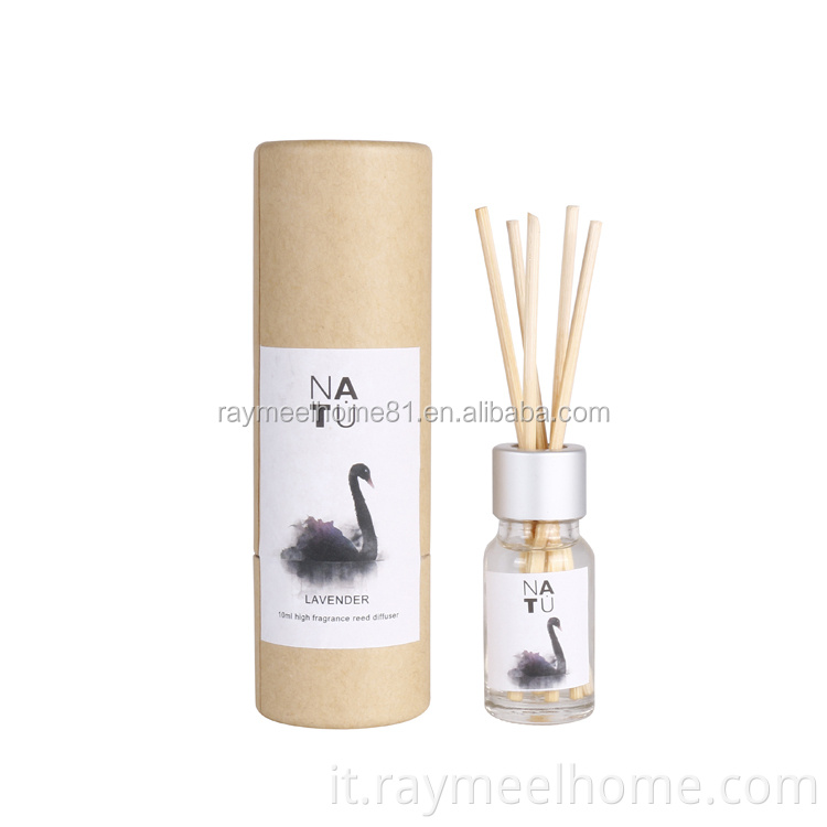 Mini 10 ml di bottiglia in vetro da casa Reed Diffuser Regalo